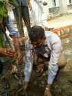 Additional Chief Engineer Rajshahi is planting
