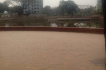 Beautification of Pond at Azimpur Govt. Colony, Dhaka.